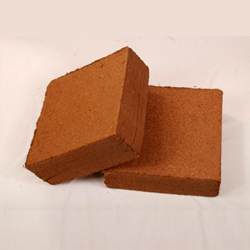Cocopeat/Coir Blocks